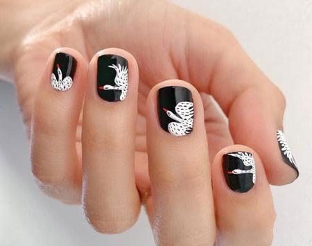 عکس لوگوی کاشت ناخن ساده