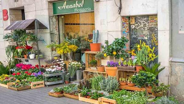 عکس لوگوی گل فروشی