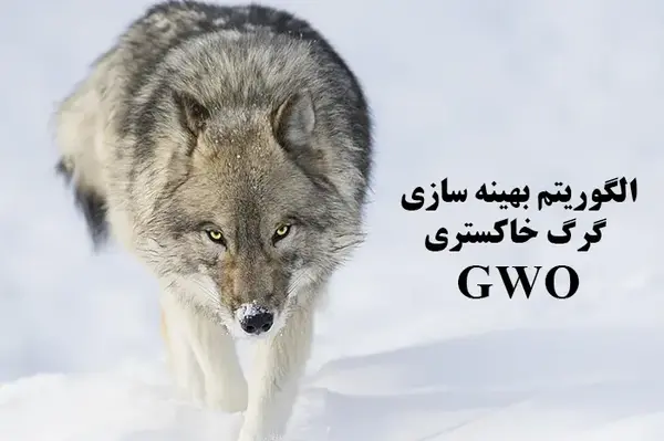 عکس لوگوی گرگ خاکستری
