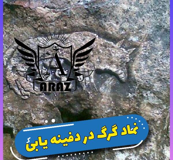 عکس لوگوی گرگ خاکستری