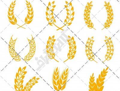 عکس لوگوی فروشگاه گندم