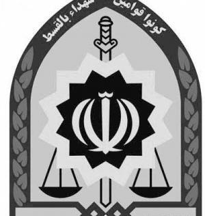 عکس لوگوی نیروی انتظامی png