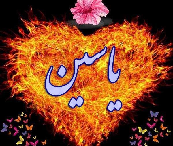 عکس لوگوی اسم یاسین