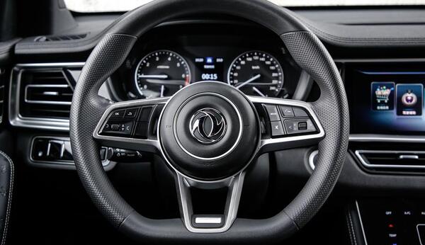 عکس داخل ماشین دیگنیتی ۷ نفره