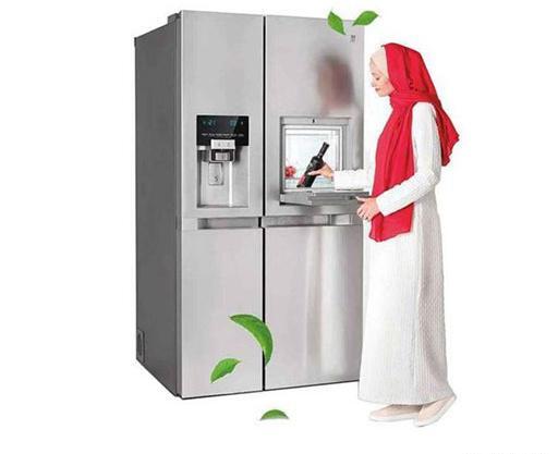 عکس یخچال ساید دوو مدل ۳۱۳۳