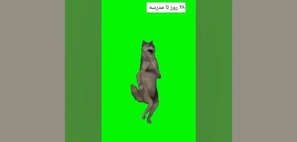 عکس ممد قلی دودولی