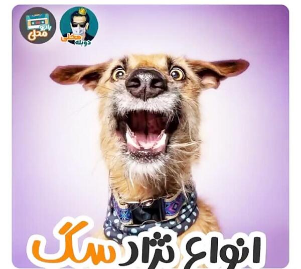 عکس ممد قلی دوبله کردی