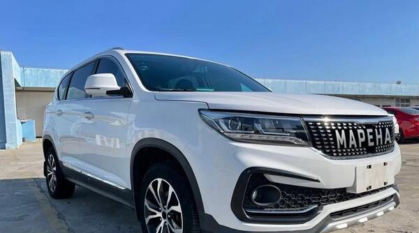 عکس دانگ فنگ sx5