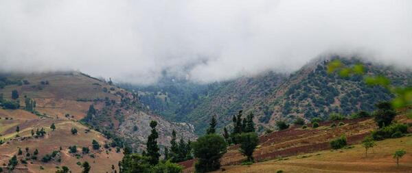 عکس روستای داماش گیلان