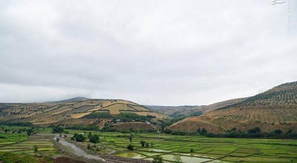 عکس روستای داماش گیلان