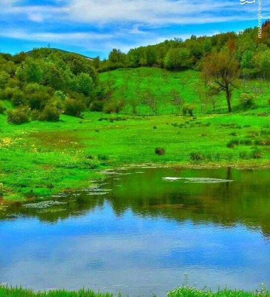 عکس های داماش گیلان