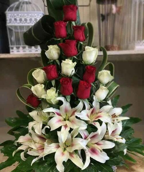 عکس گل دامادی