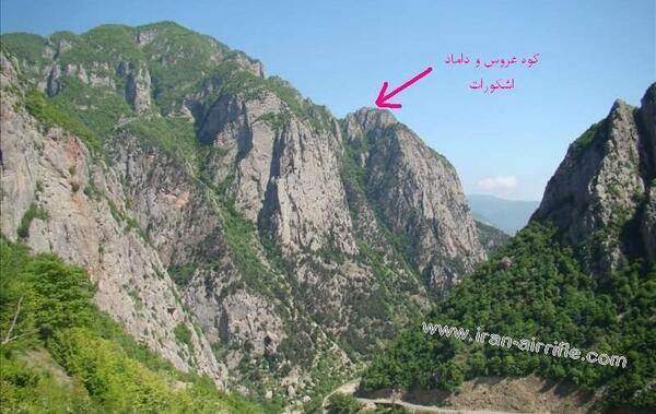 عکس گاو عروس داماد