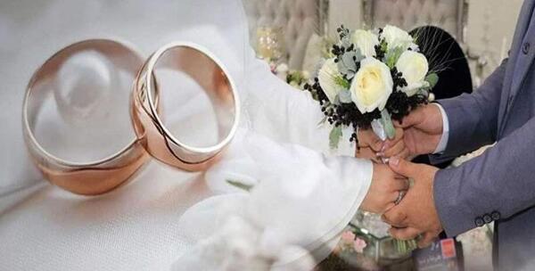 عکس گاو عروس داماد