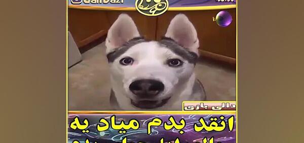 عکس ممد قلی سگی