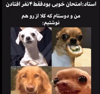 عکس ممد قلی سگ داره