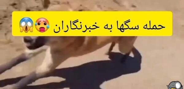 عکس ممد قلی سگ داره