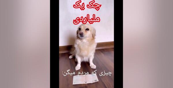 عکس ممد قلی سگ داره