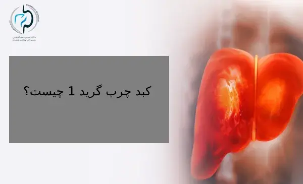 عکس کبد چرب گرید ۱