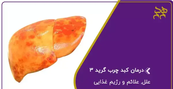 عکس کبد چرب گرید ۱