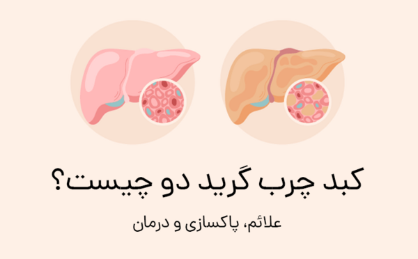 عکس کبد چرب گرید 2