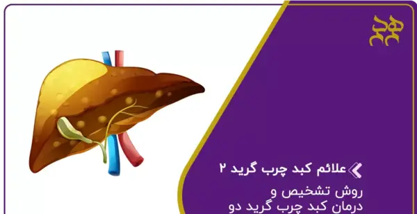 عکس کبد چرب گرید 2