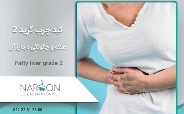 عکس کبد چرب گرید 2