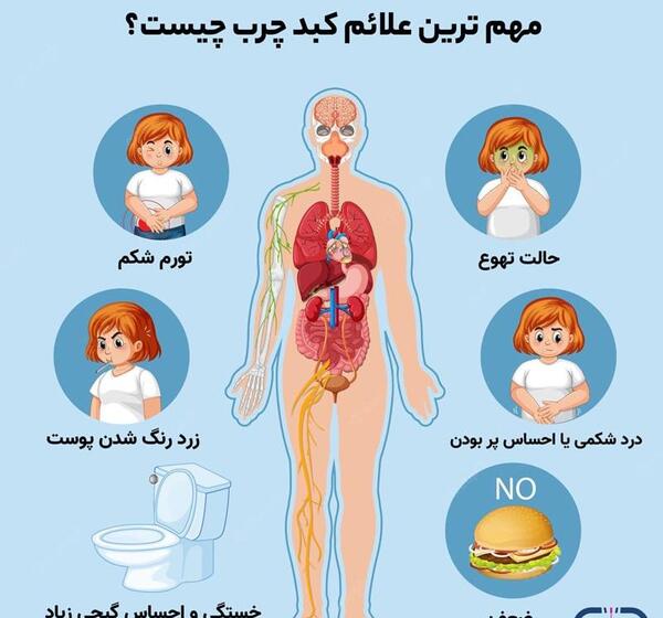 عکس کبد چرب گرید 2