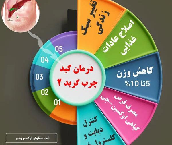 عکس کبد چرب گرید 2