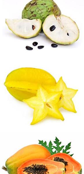 عکس میوه چری مویا