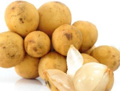عکس میوه چری مویا