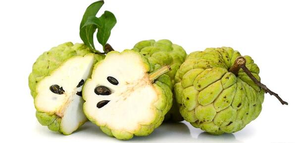 عکس میوه چری مویا