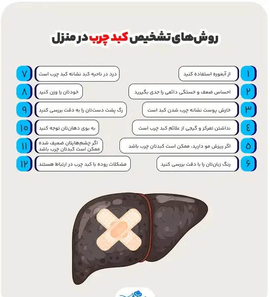 عکس کبد چرب در سونوگرافی