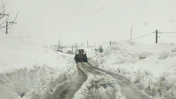 عکس امروز گردنه چری