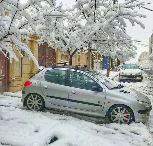 عکس باربند پژو