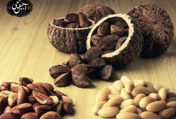 عکس آجیل برزیلی
