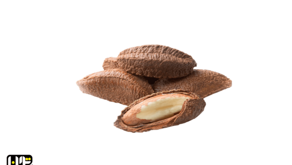 عکس آجیل برزیلی