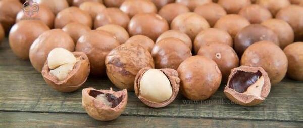 عکس آجیل برزیلی