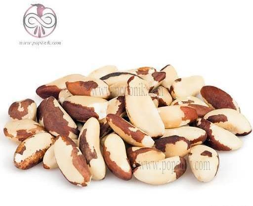 عکس آجیل برزیلی