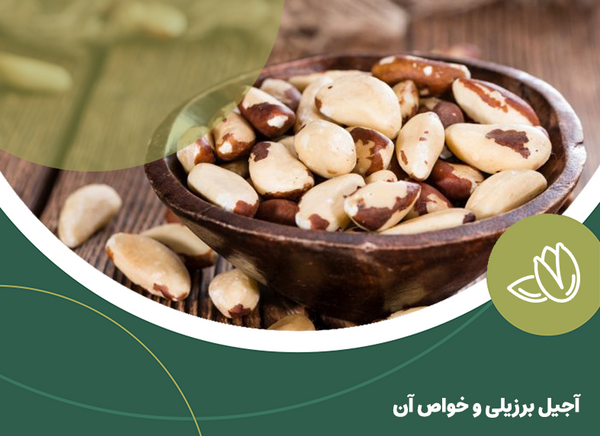 عکس آجیل برزیلی