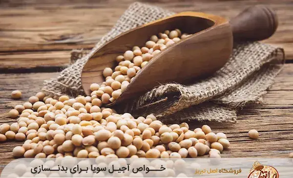 عکس آجیل سویا