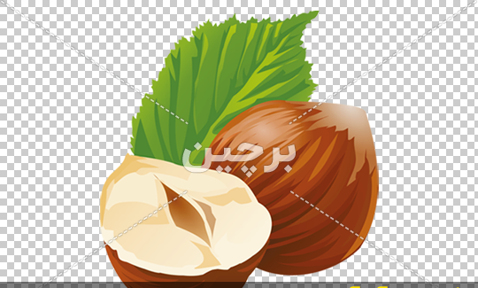 عکس آجیل کارتونی