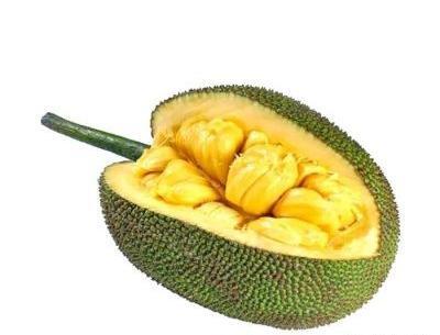 عکس میوه جک فروت