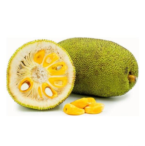 عکس میوه جک فروت