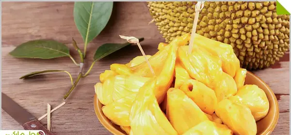عکس میوه جک فروت