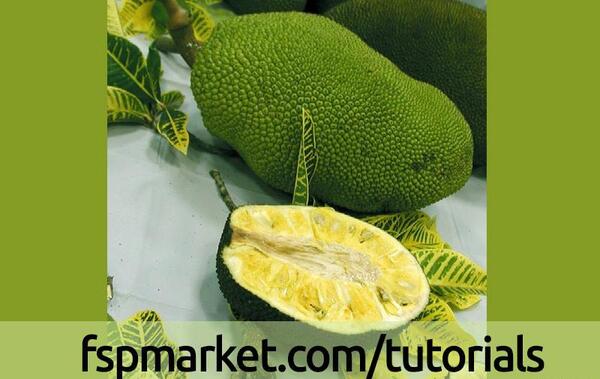 عکس میوه جک فروت