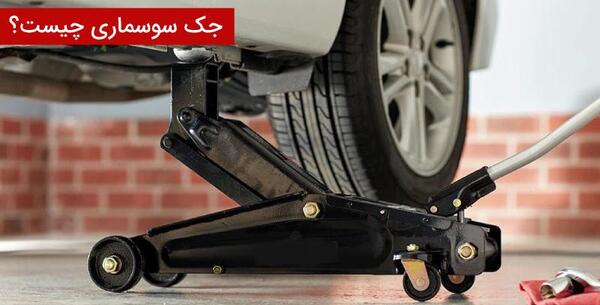 عکس جک سوسماری کوچک