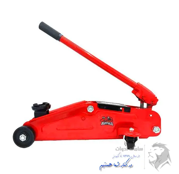عکس جک سوسماری کوچک