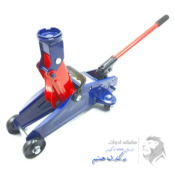عکس جک سوسماری کوچک