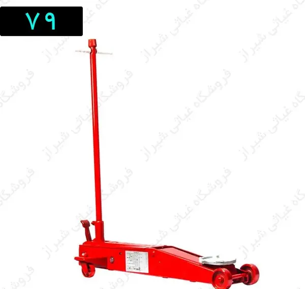عکس جک سوسماری کوچک